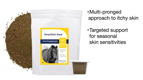 Help Your Horse Beat the Itch