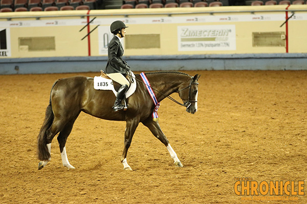 EC TV- 2018 AQHA World Show- Amateur Equitation