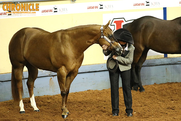 EC TV- 2018 AQHA World- That’s A Wrap!