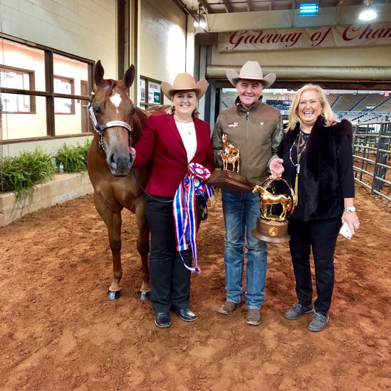Today’s AQHA Halter World Champions Include Weakly, West, Trahan, Fox, Jensen, and Saigo