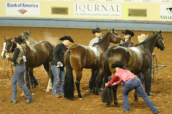 EC TV- 2018 AQHA World- Pleasure Versatility Challenge