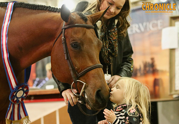 EC TV- 2018 AQHA World- L1 Hunter Under Saddle, Senior L2 Hunter Under Saddle