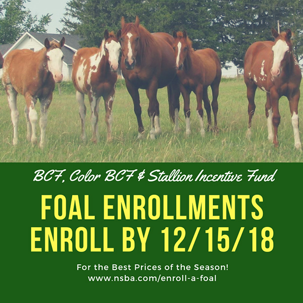 Enroll Your Foal with NSBA by 12/15/2018