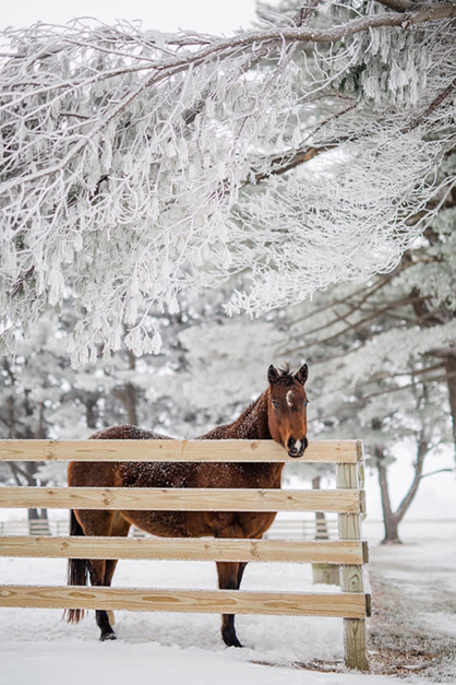 EC Photo of the Day- Baby, It’s Cold Outside