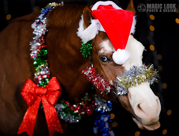 EC Photo of the Day- Here Comes Santa Claus!