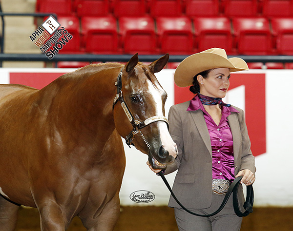 From Kill Pen to World Show Pen- A First Time Trip For Horse and Handler Results in Win
