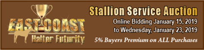 Bidding Open For 3 Stallion Service Auctions in January