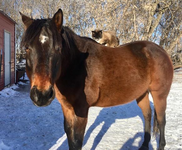 EC Photo of the Day- A Pair of Unlikely Friends