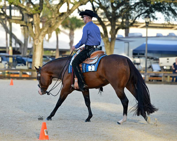 More From the Winner’s Circle at 2018 Florida Gold Coast