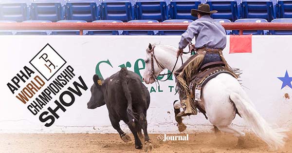 Qualification Procedure For Reining, Cutting, Cow Horse Classes For 2019 APHA World