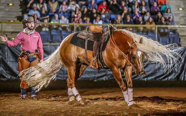Around the Rings- Evening of Dancing Horses at NWSS