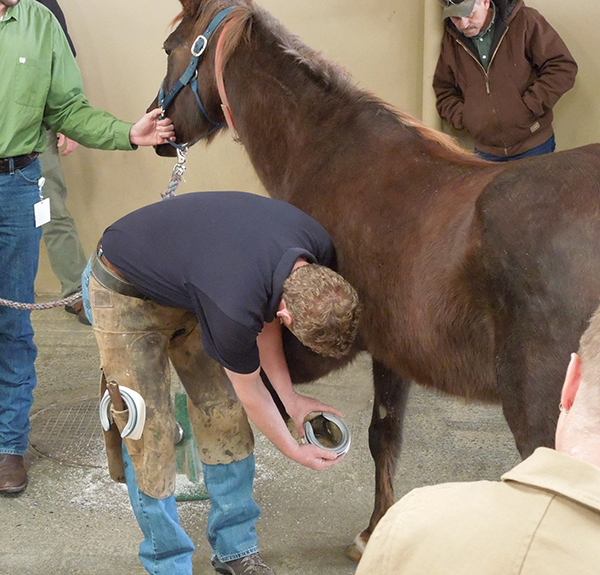 Farrier Tim Shannon and Dr. Marvin Beeman to Headline 33rd Annual Heumphreus Lecture at UC Davis