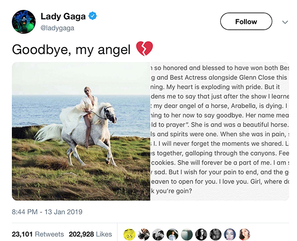Lady Gaga Leaves Award Ceremony to Say Goodbye to Her Dying Horse
