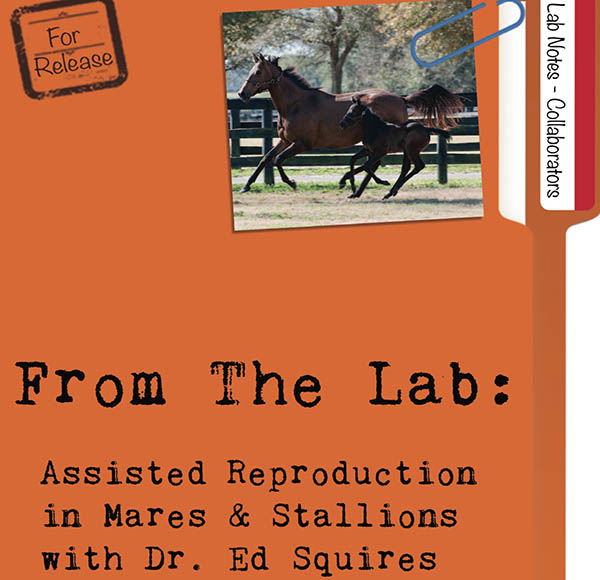 From The Lab: Assisted Reproduction In Mares and Stallions