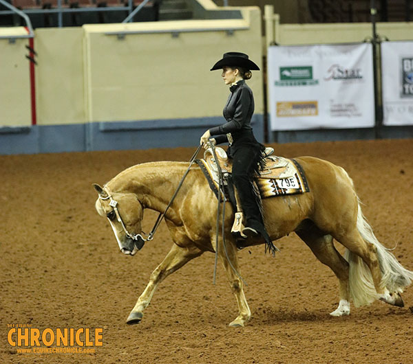 What Rule Changes are up For Consideration at the AQHA Convention?
