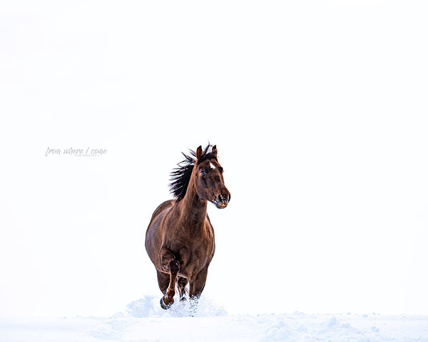 EC Photo of the Day- 21 Below Zero…