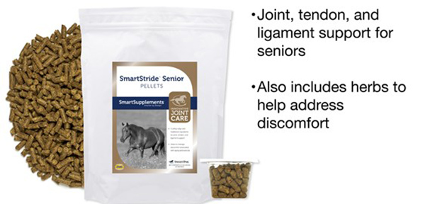 Help Keep Your Senior’s Stride Going Strong