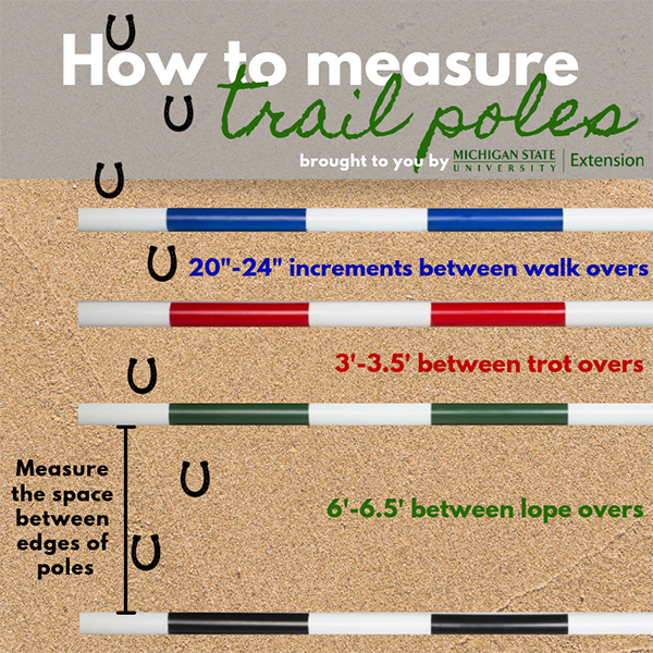 Setting a Trail Course For Success