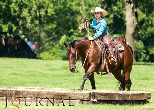 Schedule For 2019 AQHA VRH World Show