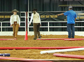 Perfecting Pole Work for the Young or Green Horse