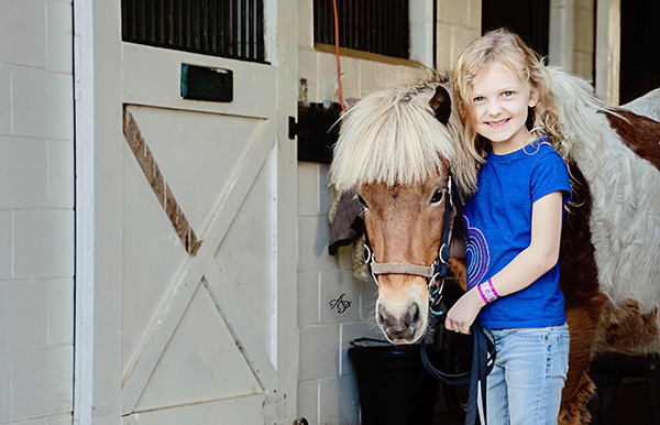 EC Photo of the Day- First Horse