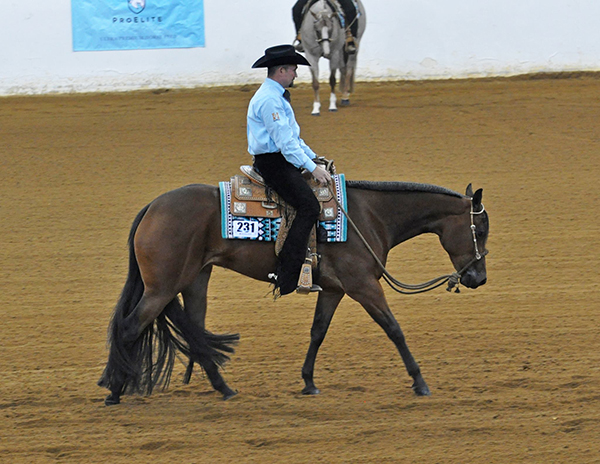 Around the Rings- Virginia Maiden 3-Year-Old and Over Western Pleasure
