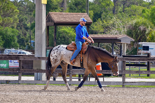 Around the Rings- Fox Lea Farms Love Returns Circuit