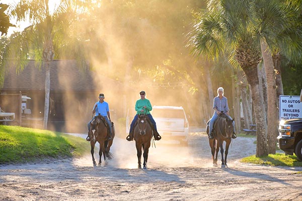 Results and Photos From Fox Lea Farms Love Returns