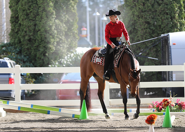 Around the Rings- WSQHA No Silver, No Sequins Show