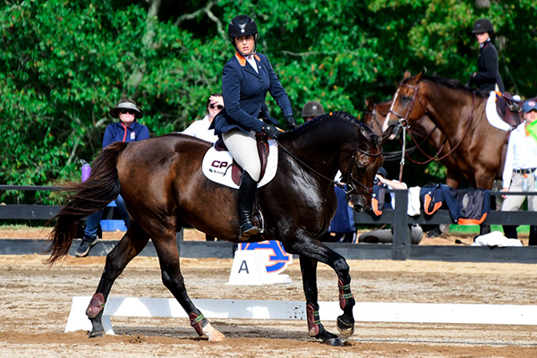 Everything You Need to Know About the NCEA National Championship