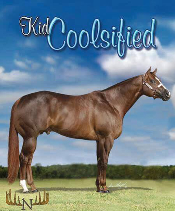 In Loving Memory of Kid Coolsified (2000-2019)