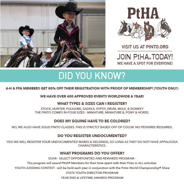 FAQ’s About Pinto Horse Registration