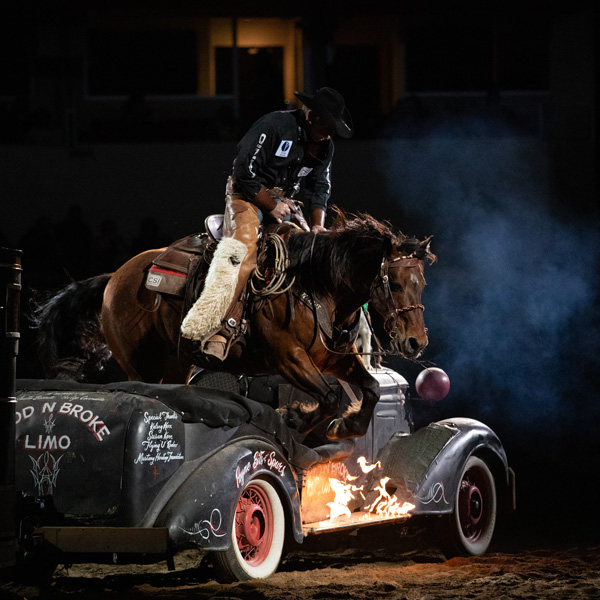 $20,000 in Prize Money Was on the Line For Midwest Horse Fair Mustang Challenge