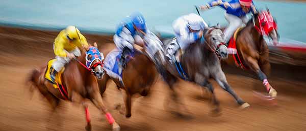 AQHA Adresses Reforms in Horse Racing Industry