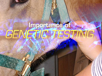 The Importance of Genetic Testing