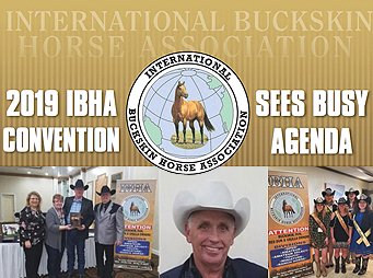 2019 IBHA Convention Sees Busy Agenda