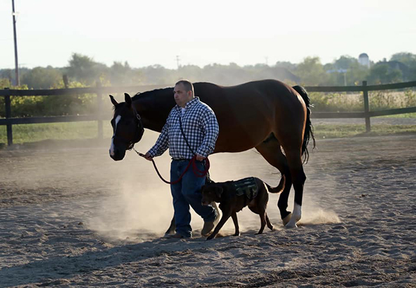 Just a Man, a Horse, and His Dog- First Ever AQHA EWD Showmanship Trio