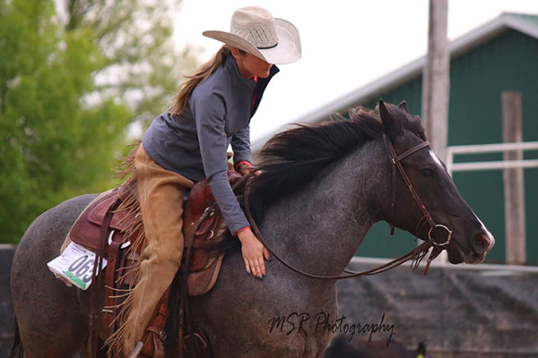 Show Your Own Horse- Cutting Competitor Defends Western Pleasure