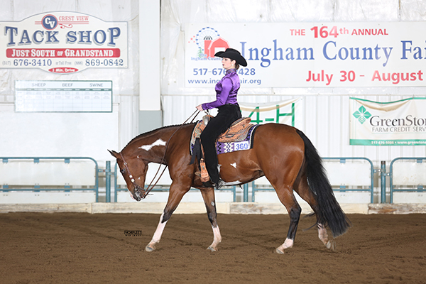 Photos and Results From Michigan Paint Horse Memorial Bonanza