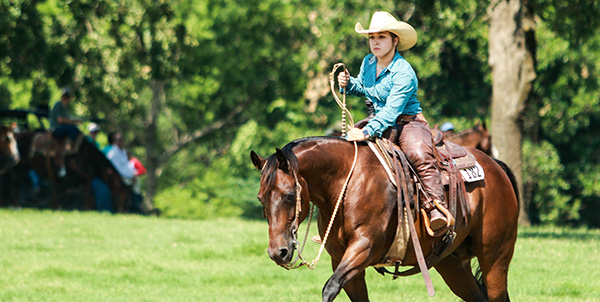 AQHA Summer Checklist