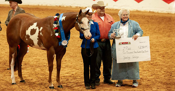 Eligible Paints Invited to compete in WCHA World Championship Junior Weanling Classes at 2019 AQHA World Show