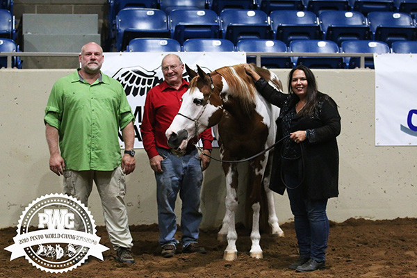 2019 Pinto World Show- High Point Results
