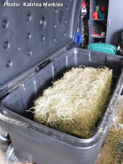 Dry, Soaked, or Steamed Hay?