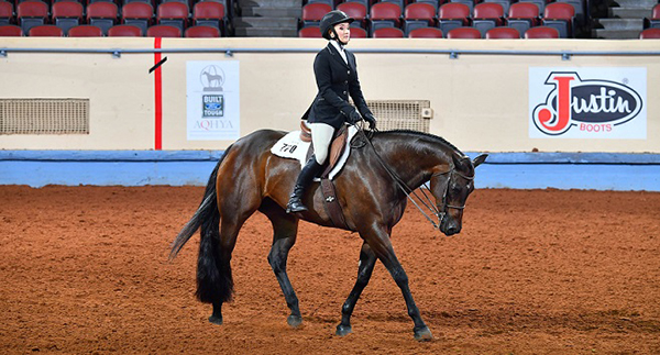 Zips Bossy Chip Has Earned Most Points in AQHA History