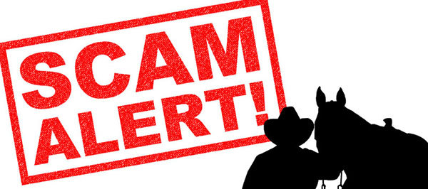 SCAM Alert: Affecting The Celebration and Western States Championship