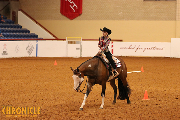 EC Video- 2019 APHA Youth World- 18 and Under Trail and Horsemanship