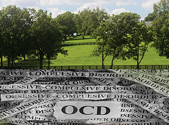 Equine OCD – How to Know You’re Officially Equine-Addicted