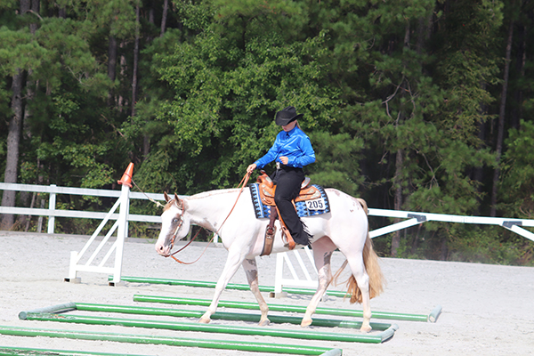 Results From Palmetto Paint Horse Club Summer Sizzler