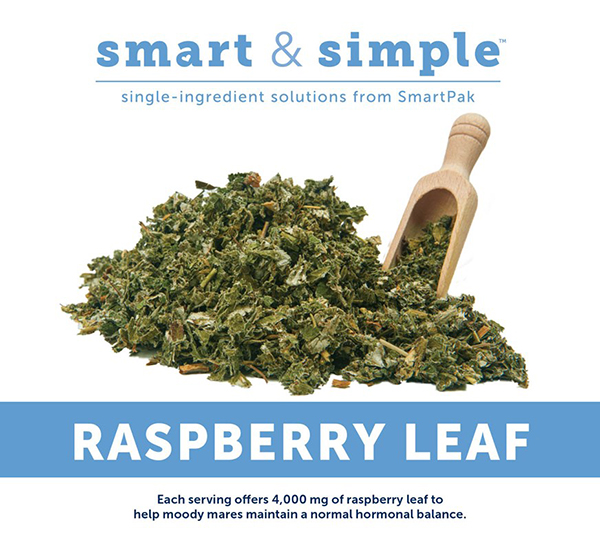 Solution For Moody Mares- Smart and Simple Raspberry Leaf