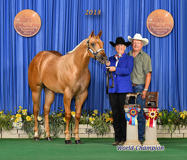 Internet Catalogs Available for 2 August Horse Auctions